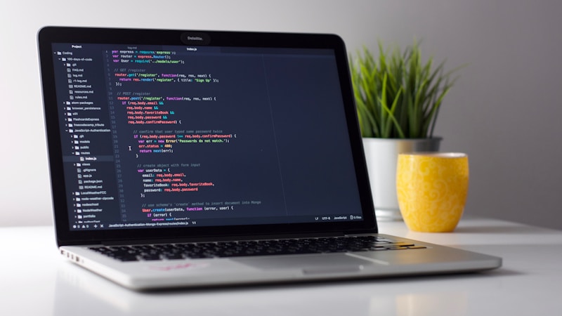 Developer coding dengan Next.js